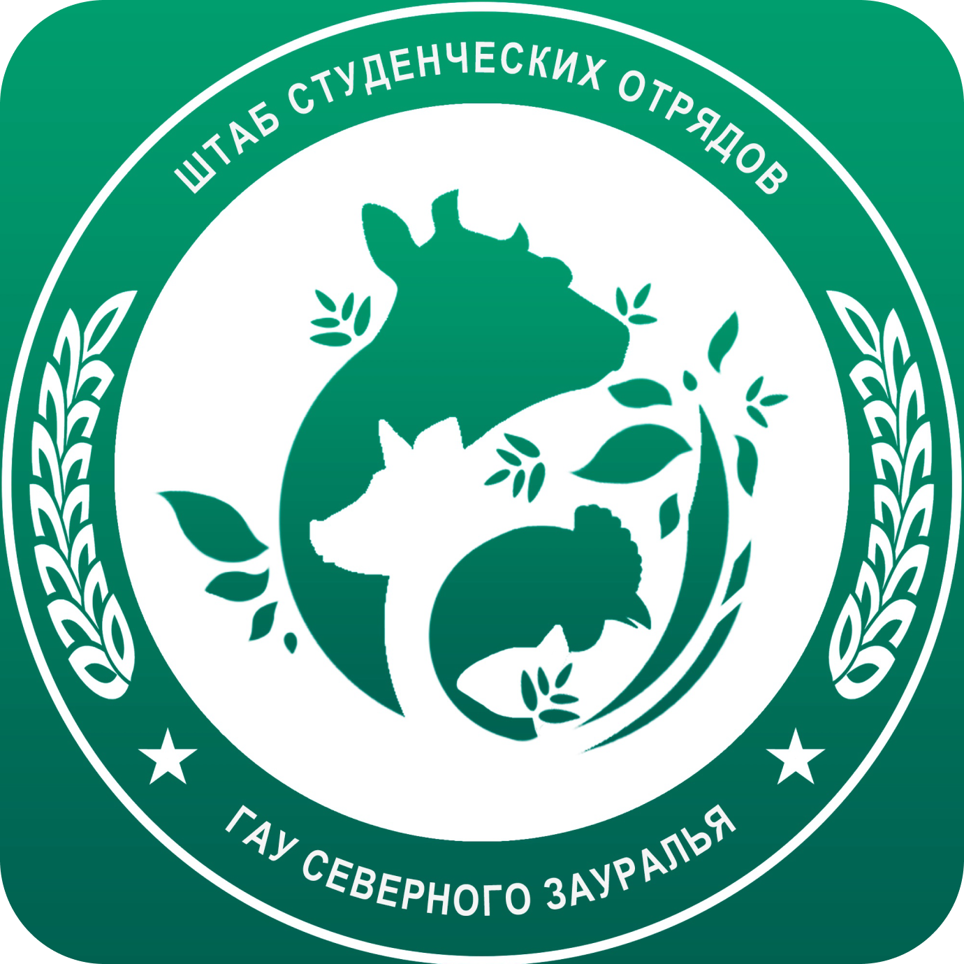 Логотип Штаб студенческих отрядов ГАУ Северного Зауралья